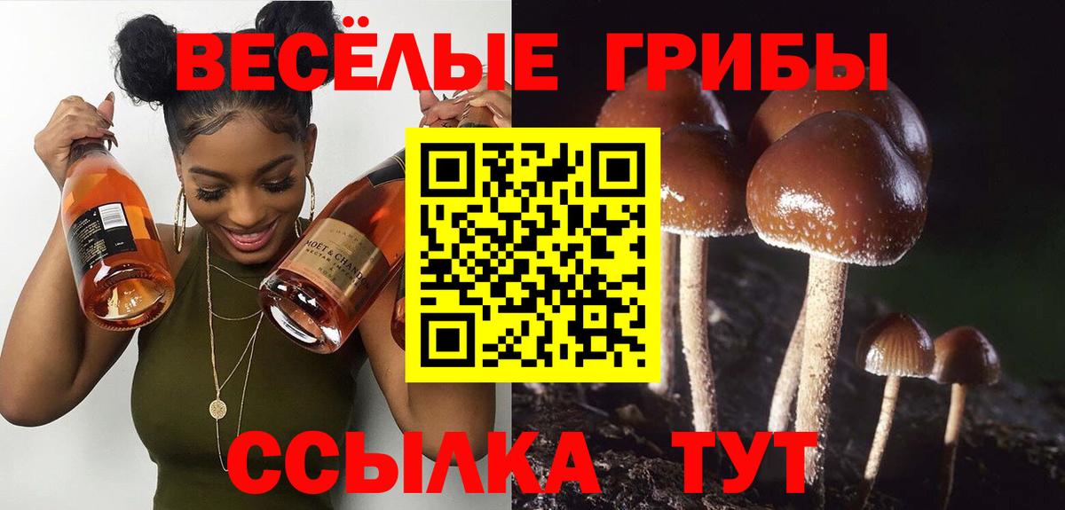 Псилоцибиновые грибы Magic Shrooms Усинск